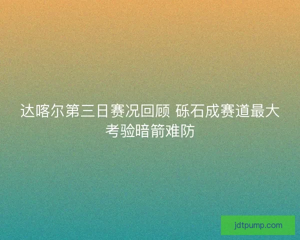 达喀尔第三日赛况回顾 砾石成赛道最大考验暗箭难防